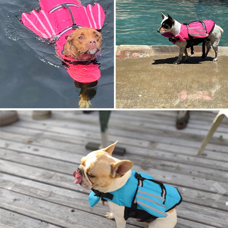 Gilet de sauvetage pour chien  - Life Jacket avis et prix