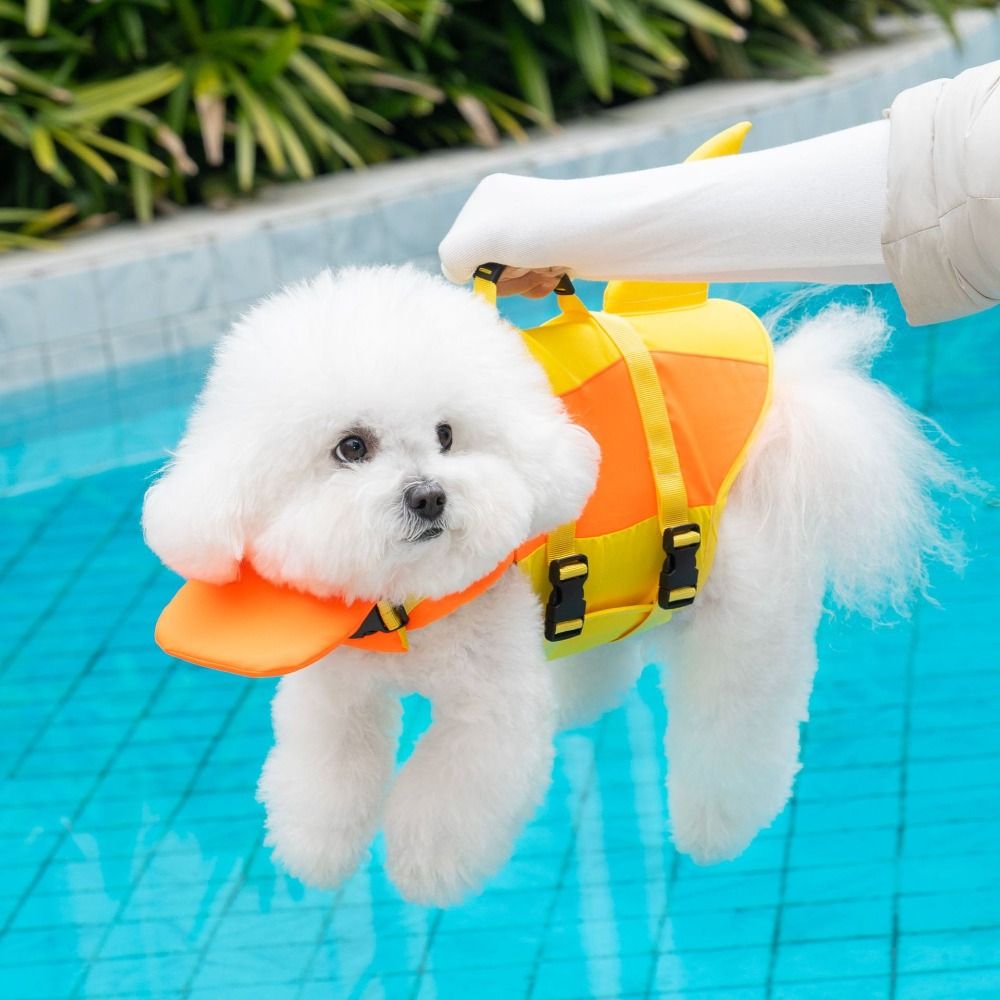 Gilet de sauvetage pour chien  - Life Jacket avis et prix